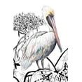 thumbnail image 2 of Pinto, Patricia 17x24 White Modern Wood Framed Museum Art Print Titled - Pelican on Branch II, 2 of 4