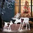 SalonMore Lighted Christmas Decoration Deer 2 Piece, Light up Christmas