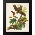 thumbnail image 2 of Audubon, John James 20x24 Black Modern Framed Museum Art Print Titled - Pl 82 Whip-poor Will, 2 of 5