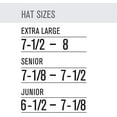 thumbnail image 3 of Easton Z5 2.0 Matte Solid Batting Helmet - Junior | Carolina Blue | Junior, 3 of 3