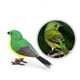 thumbnail image 1 of Robot Bird Electronic Bird Toy Juguete de Desarrollo Movimientos Realistas Figura de Juguete para Niños Y Niñas Verde, 1 of 10