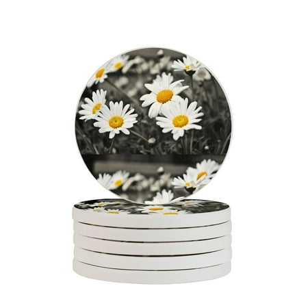 

Circular Drink Coasters Set Nice Flowers ufd Beautiful Home Decor Diatomite Heat-Resistant Diatomite Protect Table Countertop