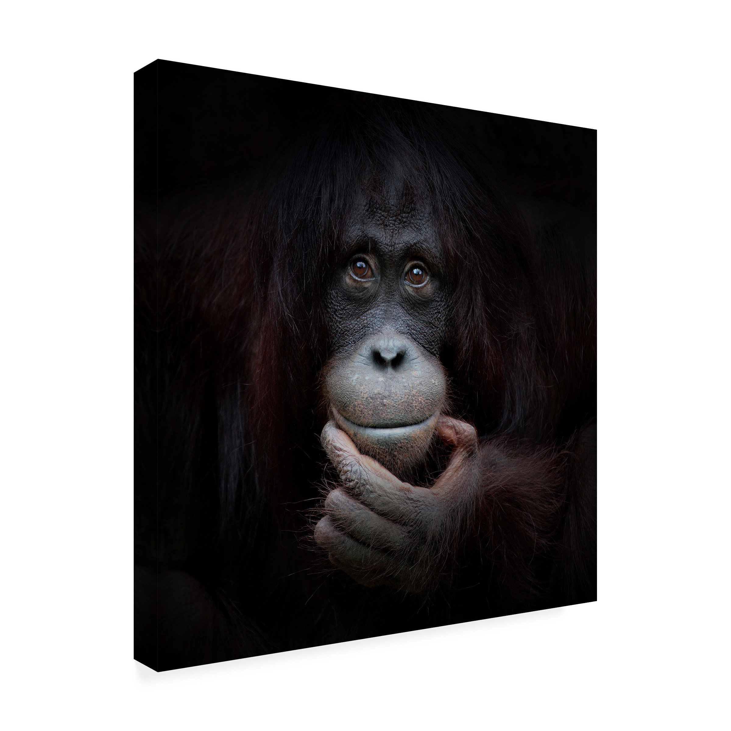 Antje Wenner Braun 'The Mirror Image' Canvas Art