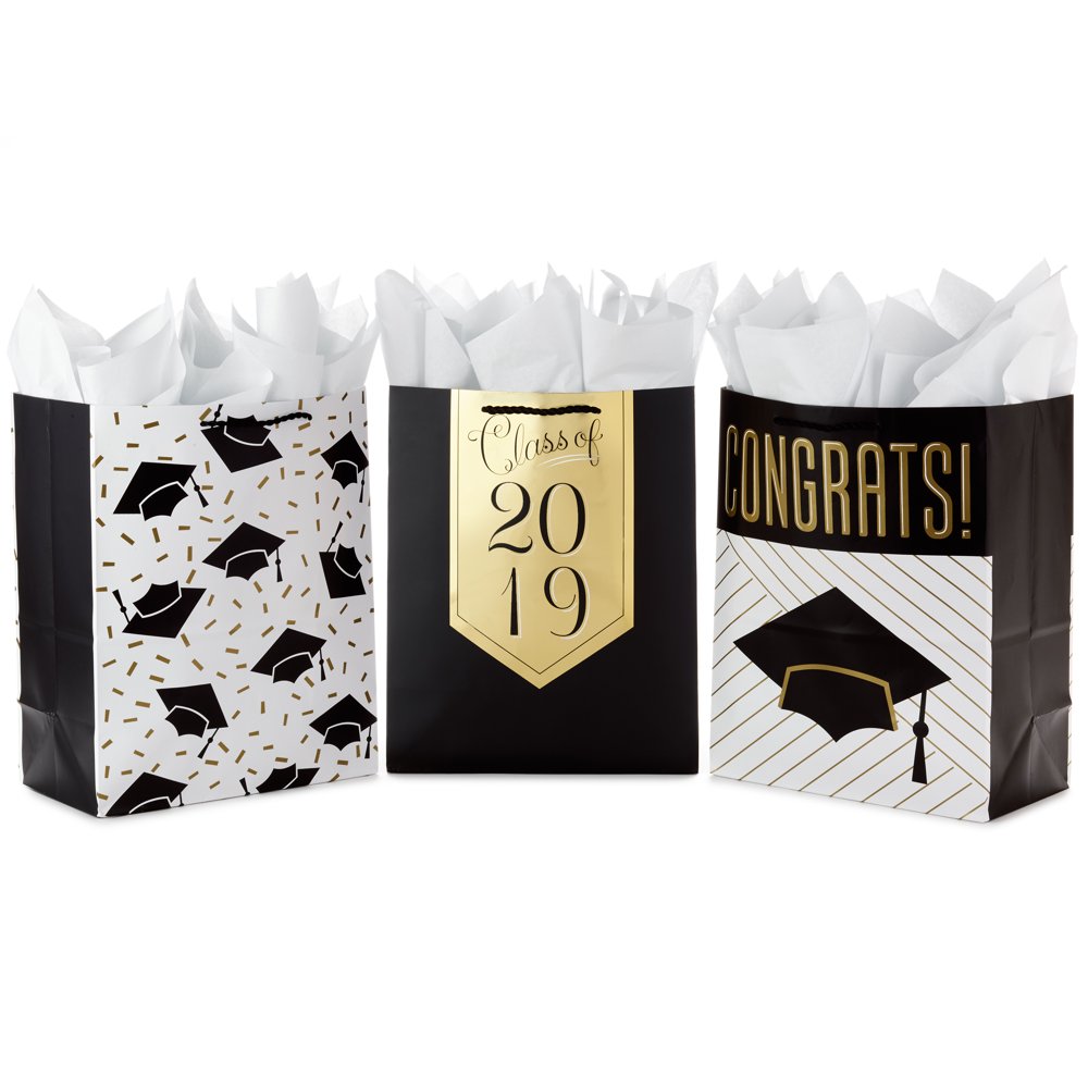 Hallmark Large Graduation Gift Bags Assortment with Tissue Paper, 3