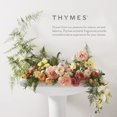 Thymes Travel Set and Beauty Bag Contains Body Wash, Body Lotion