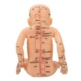 thumbnail image 4 of Acupuncture Model Children Massage Model Pediatric Training Doll Acupoint Children Model, 4 of 14