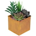 thumbnail image 2 of Northlight 7" Mixed Succulent Artificial Potted Arrangement - Green/Black, 2 of 8