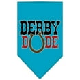 thumbnail image 6 of Mirage Pet Derby Dude Screen Print Bandana Emerald Green Small, 6 of 10