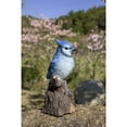 thumbnail image 2 of Battery Operated Blue Jay Outdoor Garden Statue - 6.5", 2 of 5