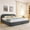 Dark Gray, variant on Noble House Elbert Queen Size Upholstered Bed Frame, Circle Yarn Tall Curved Headboard with Storage Drawers, Green