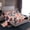 Light Salmon, variant on Feelyou Buffalo Love Heart Full Size Sheets, Dreamy Cartoon Bed Sheets, Modern Fashion Stripes Sheet Sets, Microfiber Bedroom Decor, 4pcs