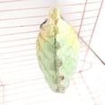 thumbnail image 3 of unbranded 2Ud Piedra Para De Mascotas Hecha Con Material Natural Y Duradero Para Molar De Pequeños, 3 of 8