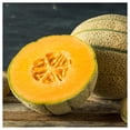thumbnail image 2 of Everwilde Farms - 1/4 lb Hales Best Jumbo Melon Seeds - Gold Vault Bulk Seed Packet, 2 of 3