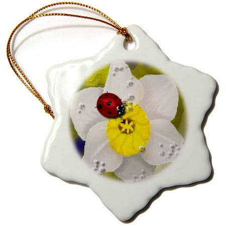 Daffodil Ornament - 3dRose Daffodils and Ladybugs - Snowflake Ornament, 3-inch