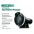thumbnail image 2 of Pentair FP5172 Flotec 1.5 HP Corrosion Resistant Thermoplastic Sprinkler Pump, 2 of 2