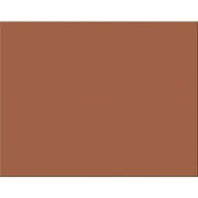 Pacon® Railroad Board, 4-Ply, 22" x 28", Brown, Pack of 25