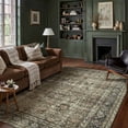 thumbnail image 1 of BERTHMEER Washable 5'x7' Area Rugs for Living Room Dining Room Vintage Oriental Rugs Carpets Non-slip, Brown, 1 of 7