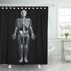 thumbnail image 1 of ABPHQTO Renderizado 3D anatómico del esqueleto masculino Anatomía Biología Huesos del cuerpo Salud Cortina de ducha humana Cortina de baño 165x180 cm ABPHQTO PKNMT66x72Shower-12436, 1 of 2