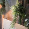 thumbnail image 4 of Faux Artificial Asparagus Setaceus Wood Board Hanging Decoration, 4 of 8