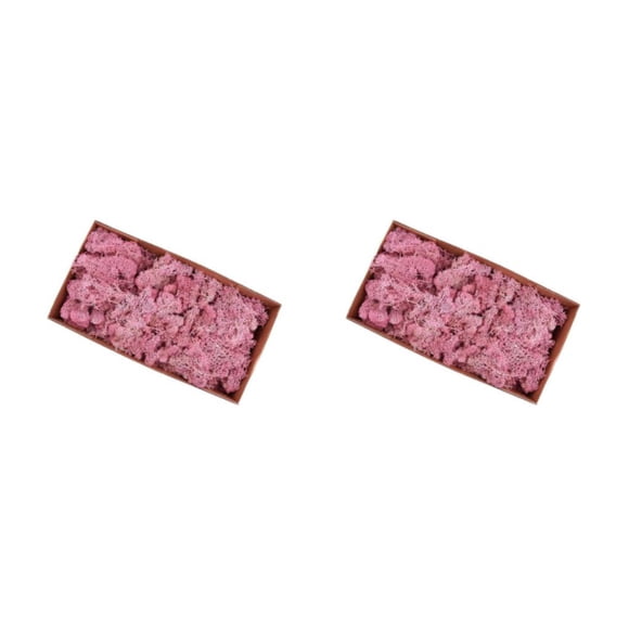 Billuyoard Musgo de reno seco Natural tratado artesanías de musgo inmortal DIY decoración Floral rosa Rosa 500g 2Conjunto