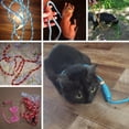 thumbnail image 5 of Reflective Rope Slip Training Lead, Mountain Climbing Rope Pets Leash For Dogs And Cats Blue L, 5 of 5