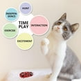 thumbnail image 6 of 2Pcs Mini Electric Robot Beetle, Interactive Cat Toy Excites & Entices Cats Cuddling Chasing Fun - style:style1, 6 of 7