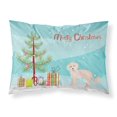 thumbnail image 1 of ""Caroline'S Treasures Maltipoo Christmas Tree Tela Fundas De Almohada Estándar Multicolor"", 1 of 1