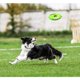 thumbnail image 4 of Perro de disco volador de 2 piezas toma un juguete aburrido, 4 of 5