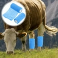 thumbnail image 3 of 2 Rouleaux de Bandages Enveloppants pour Blessures Sportives Élasticité Bandages Vache Bandages Auto-Adhésifs, 3 of 5