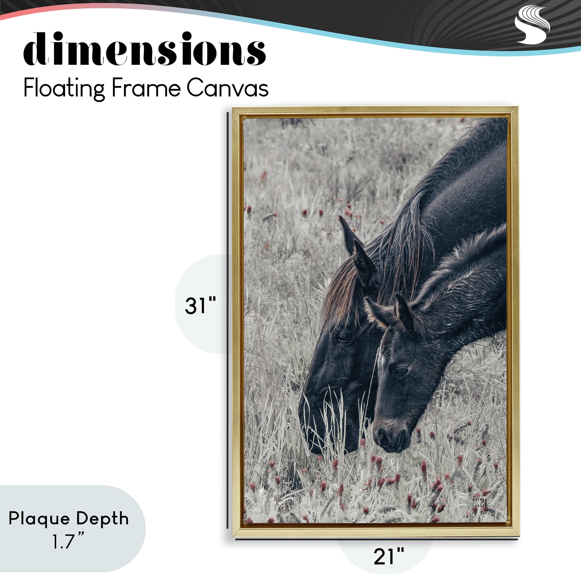 Stupell Industries New Graze Horses in Meadow Gold Framed Floater Canvas Wall Art, design by Nathan Larson