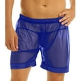 thumbnail image 1 of Intimates Men's Underwear Boxer Briefs Mesh Breathable Underpants Mens Mesh Shorts See Through With Large Split Mesh Pants, 1 of 8