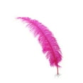 thumbnail image 1 of 18-24" (46-61 cm) 1/4 lb Shocking Pink Ostrich Feather Wedding Centerpiece decor - Spads, 1 of 3