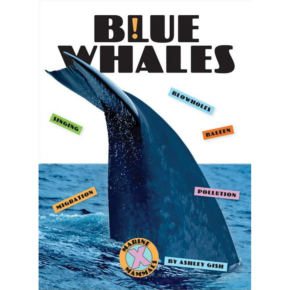 X-Books: Marine Mammals: Blue Whales (Paperback) - Walmart.com ...