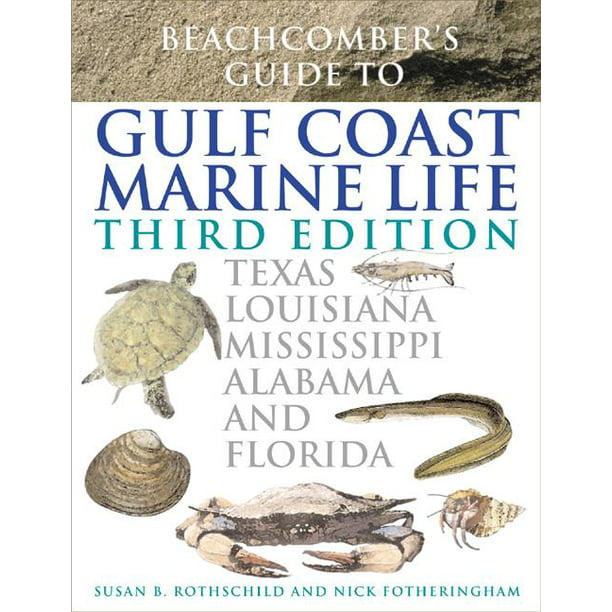Guide to Gulf Coast Marine Life Texas, Louisiana