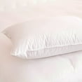 thumbnail image 1 of White Duck Chamber Medium Density Pillow (HOS100PI0040), 1 of 1