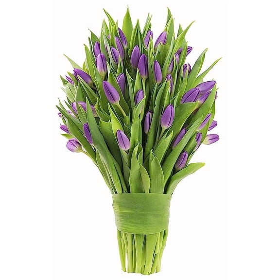 KaBloom : Bouquet of Fresh 10 Purple Tulips, Next-Day Delivery, Gift for all occasions