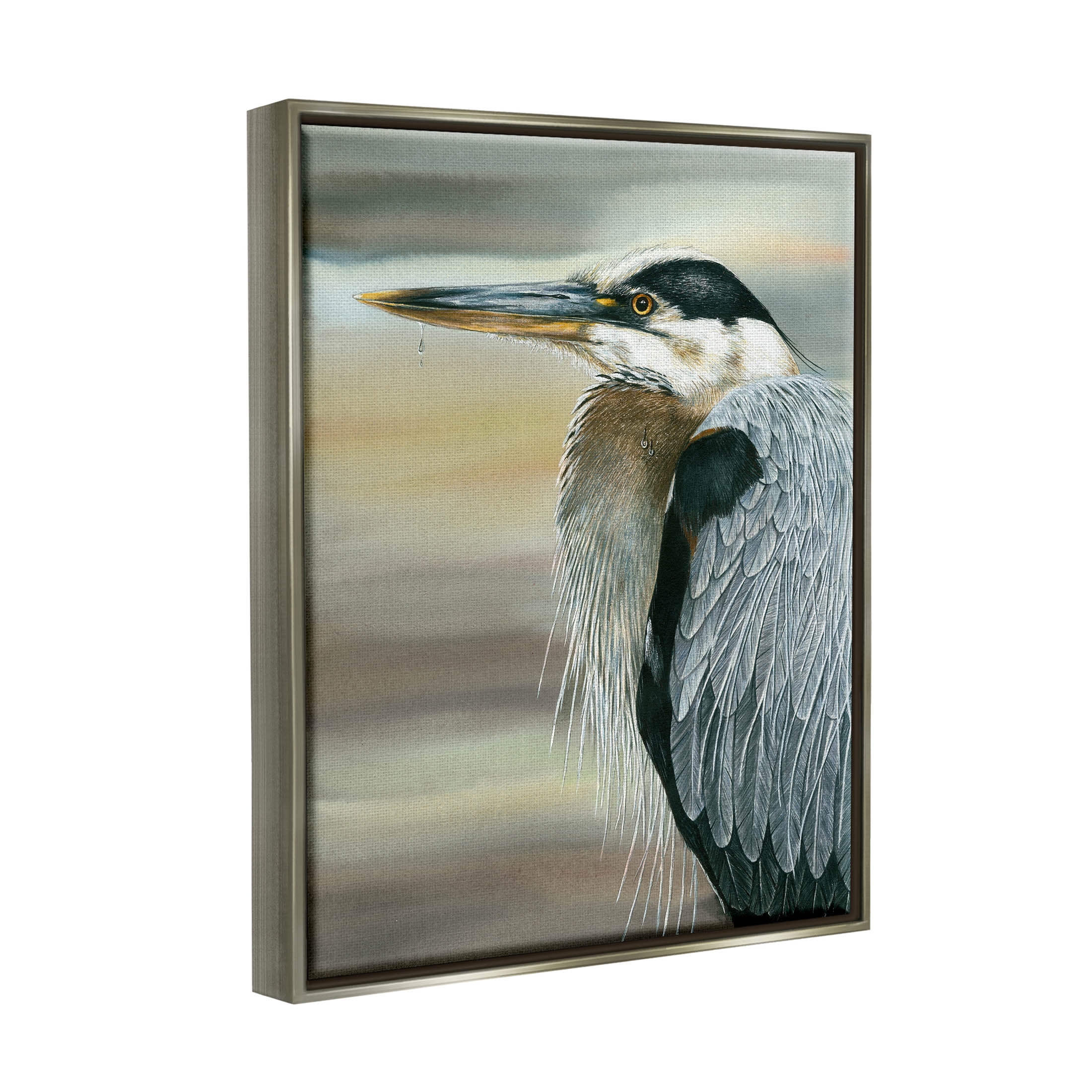 Heron Bird Feather Portrait Animals & Insects Graphic Art Luster Gray Framed Art Print Wall Art