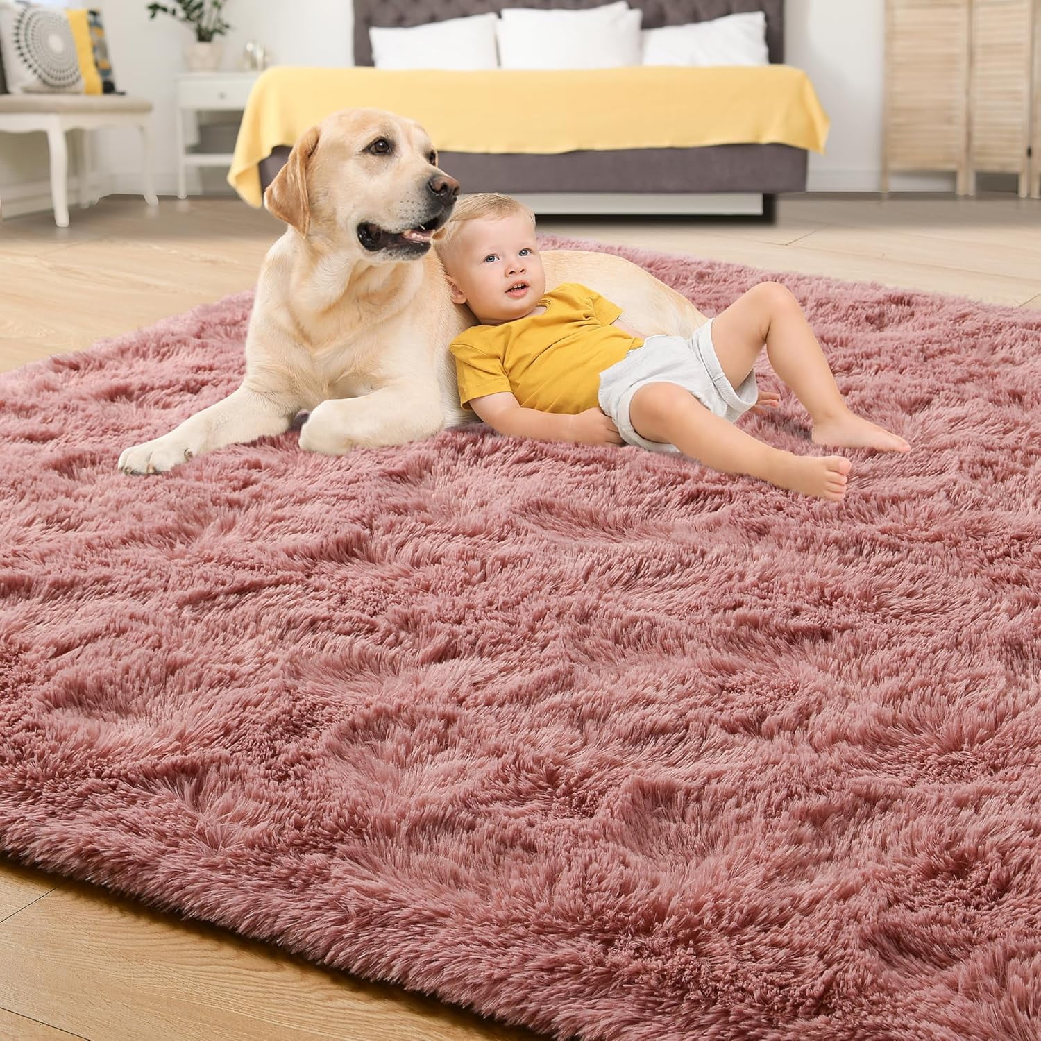 Lochas Soft Plush Fluffy Rugs Modern Indoor Shaggy Area Rug for Bedroom Living Room Home Decor Floor Carpet,5'x8',Blush Pink