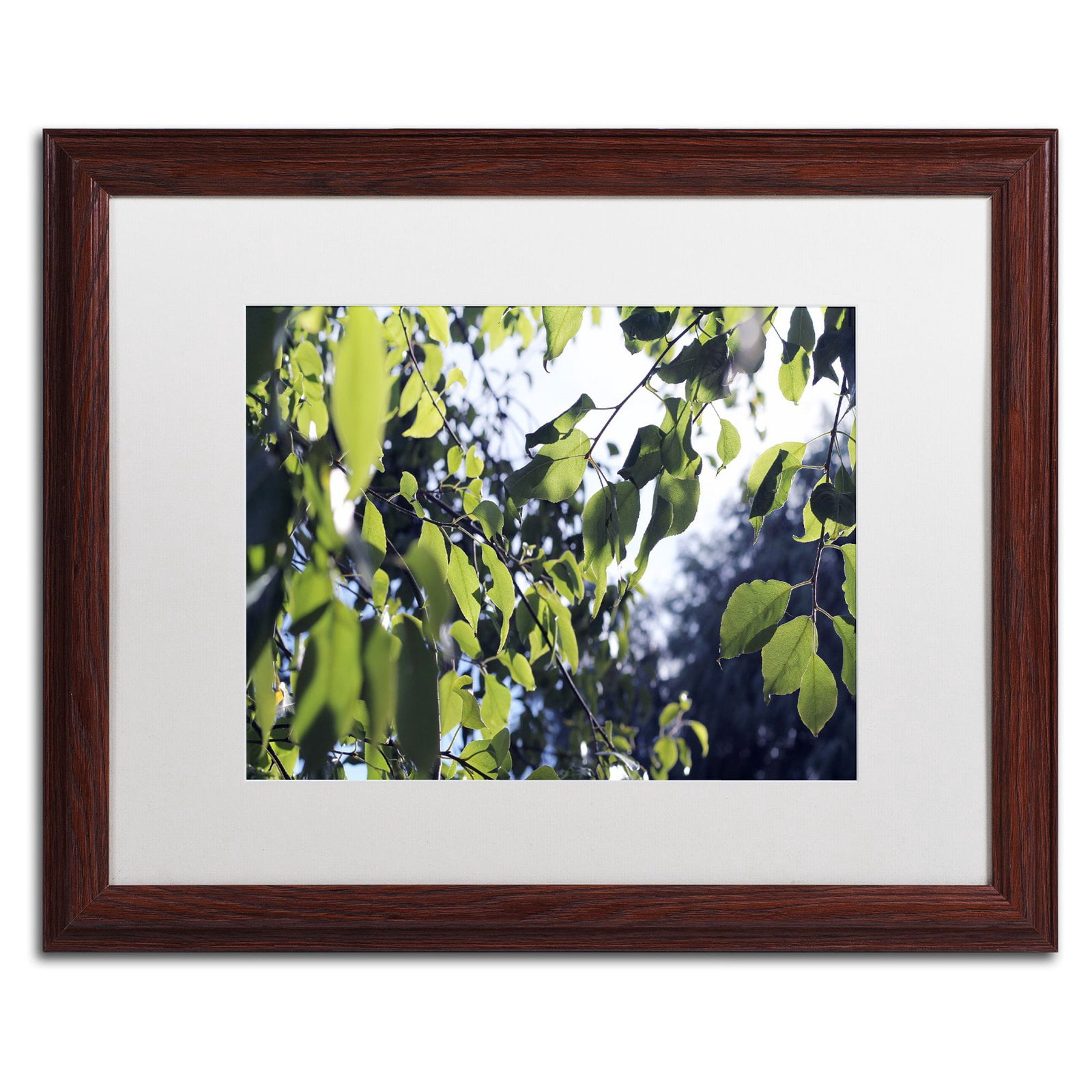 Trademark Fine Art "Whispers of Summer" Canvas Art by Beata Czyzowska Young, White Matte, Black Frame