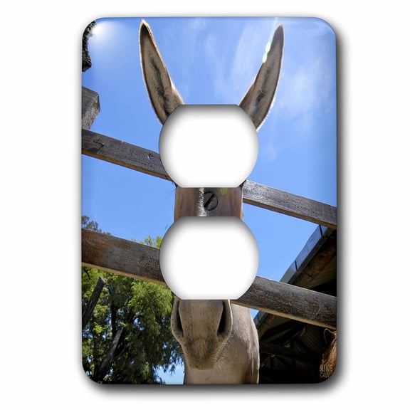 3dRose, Donkey in a farm 2, 2 plug outlet cover
