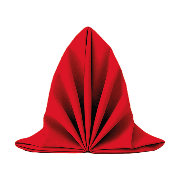 Servilletas En Tela 40 x 40 cm Paquete Con 20 piezas Rojo