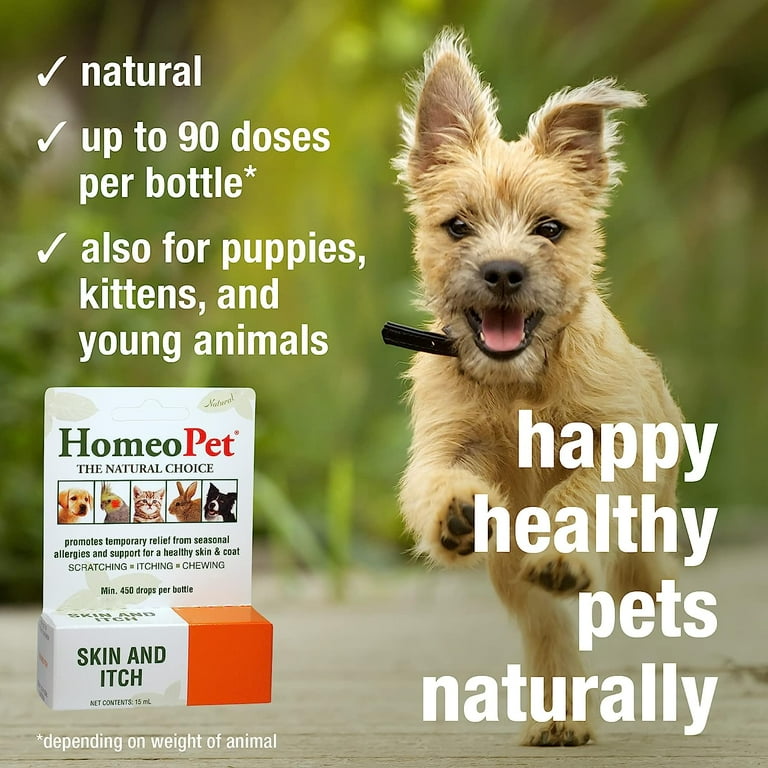 Homeopathic remedies for dog allergies skin online