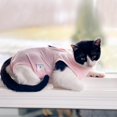 thumbnail image 2 of Cat Recovery Suit DOTON L Pink Post Surgery Soft Shirt, 2 of 5