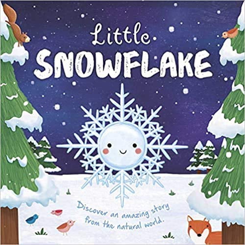 Pre-Owned Little Snowflake Paperback