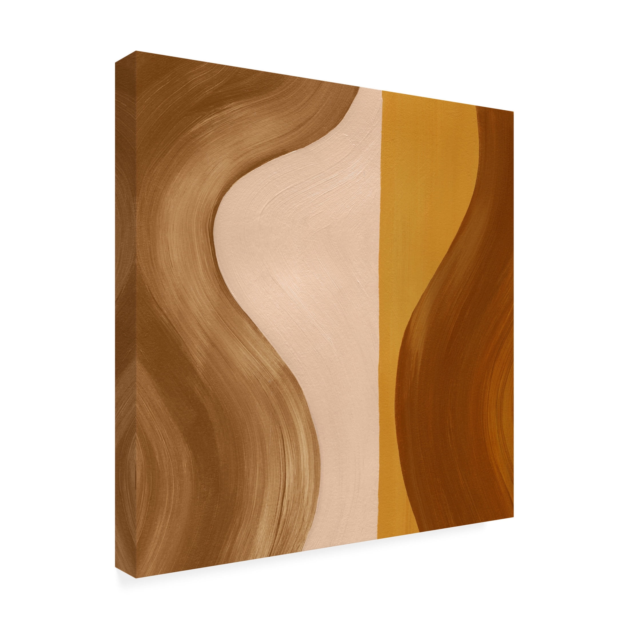 Trademark Fine Art Grace Popp Wavy Clay I Canvas Wall Art