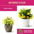 thumbnail image 3 of WonderTree Organics - Organic Enriched Rose & Flower Fertilizer Granular, 7-5-3, 4 lbs, 3 of 9