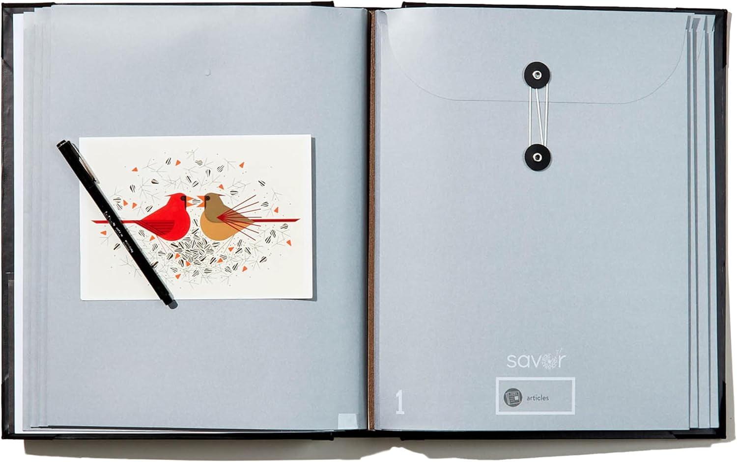 Acid-Free Document Organizer Binder with Guided Labels and 10 Pocket Folders for Home Records, Legal & Medical Papers