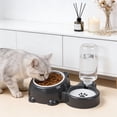 thumbnail image 4 of SHENGXINY Cat Food Bowls and Water Bowls Set - 2 in 1 Pet Feeding & Watering Bowl for Dogs and Cats, All-in-One Food Water Feeder Gray 10.43x3.74x3.03in, 4 of 6