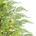 thumbnail image 7 of Taotanxi 2ft Pre-lit Twinkle Christmas Norfolk Pine Tree with LED Light Realistic Artificial Trees with Woven Basket Base Xmas Holiday Decor for Indoor Living Room Home (Norfolk Pine Tree), 7 of 7