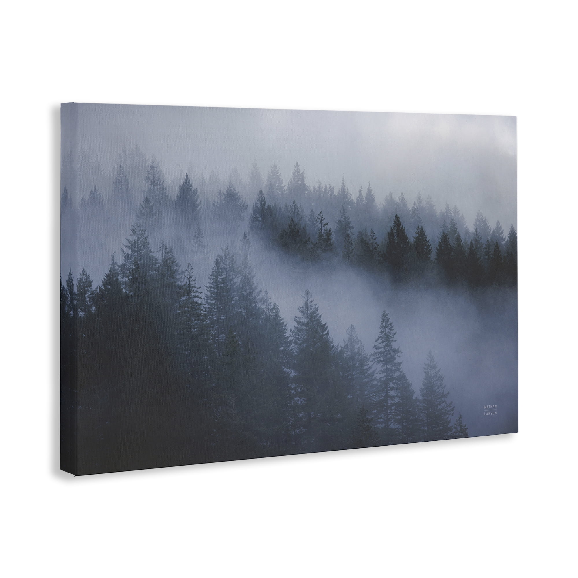 Stupell Industries Fog Filled Trees Landscape Landscape & Nature Photography Wrapped Canvas Art Print Wall Art, 36 x 24